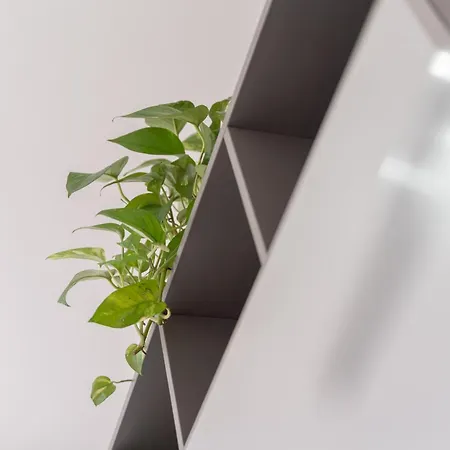 Apartman D&d Alghero