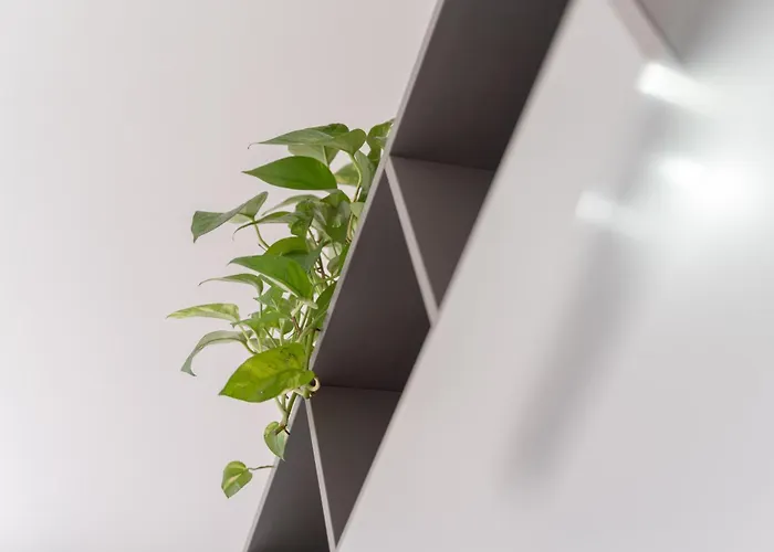 Апартаменты D&d Альгеро